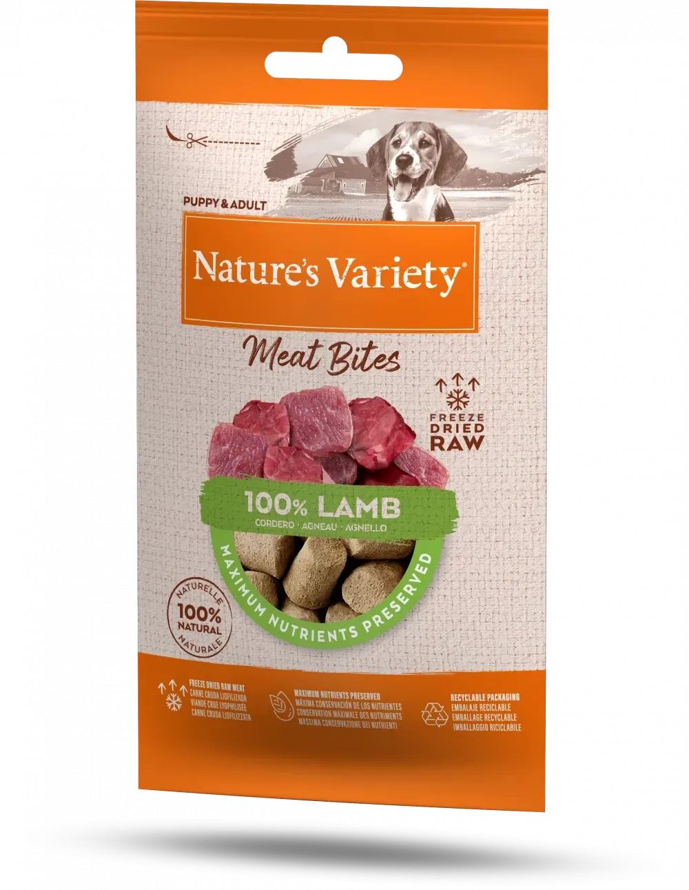 Natures Variety Freeze Dried Lamb Bites 20g