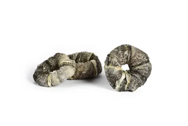Fish Skin Ring Singles