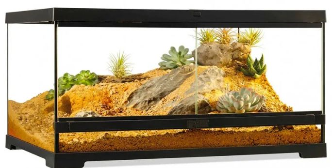 Exo Terra Pro Terrarium, Medium/Low (60 x 45 x 30)