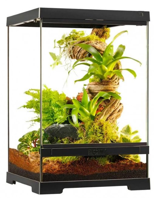 Exo Terra Pro Terrarium, Mini/Tall (30 x 30 x 45)