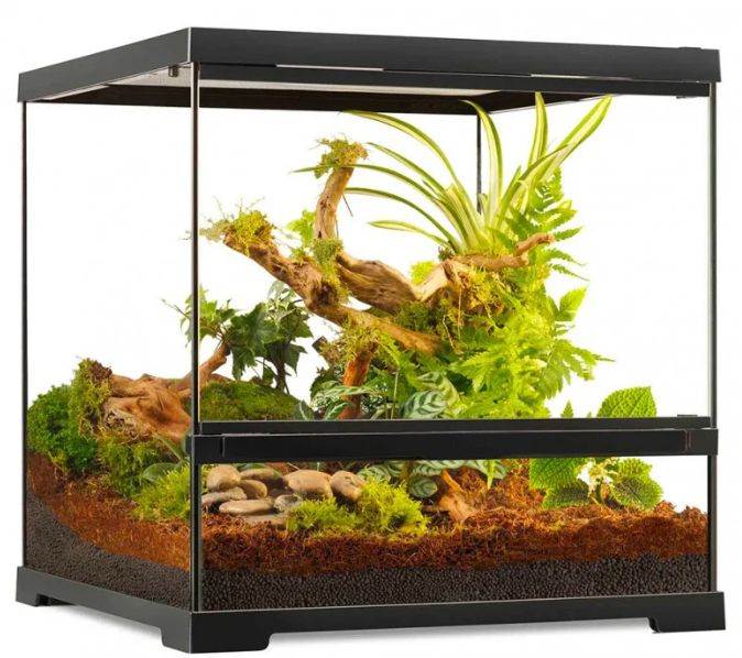Exo Terra Pro Terrarium Small/Wide (45 x 45 x 45)