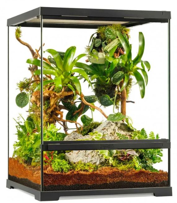 Exo Terra Pro Terrarium, Small/Tall (60 x 45 x 45)