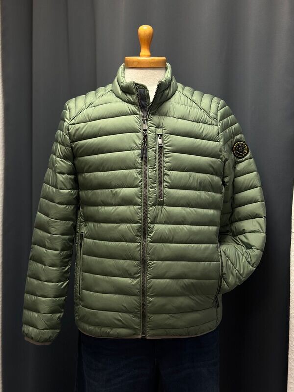 Herren Steppjacke -grün-Casa Moda Herren Steppjacke -grün-Casa Moda