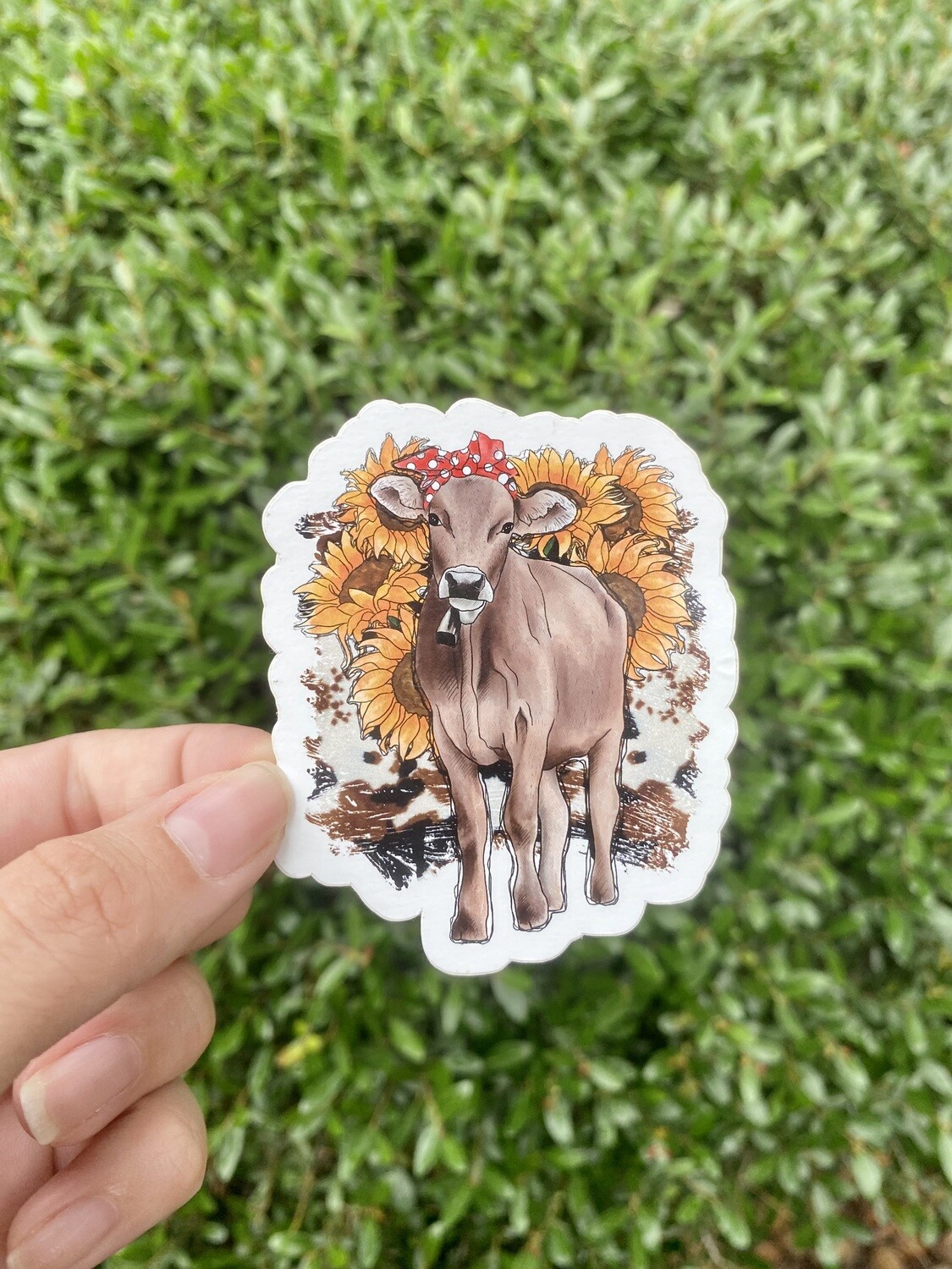 Bandana Cow Sticker