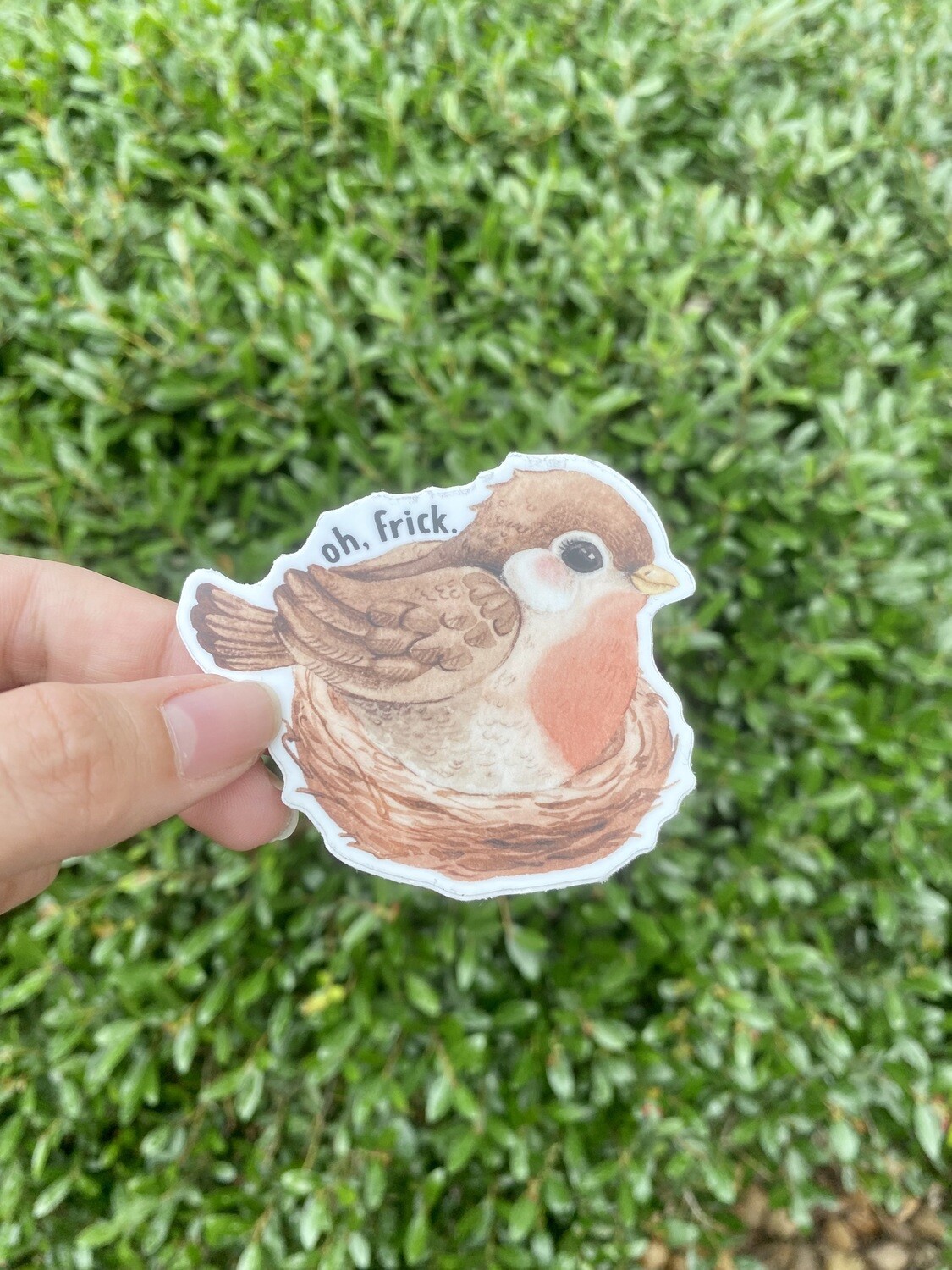 Oh Frick Robin Sticker