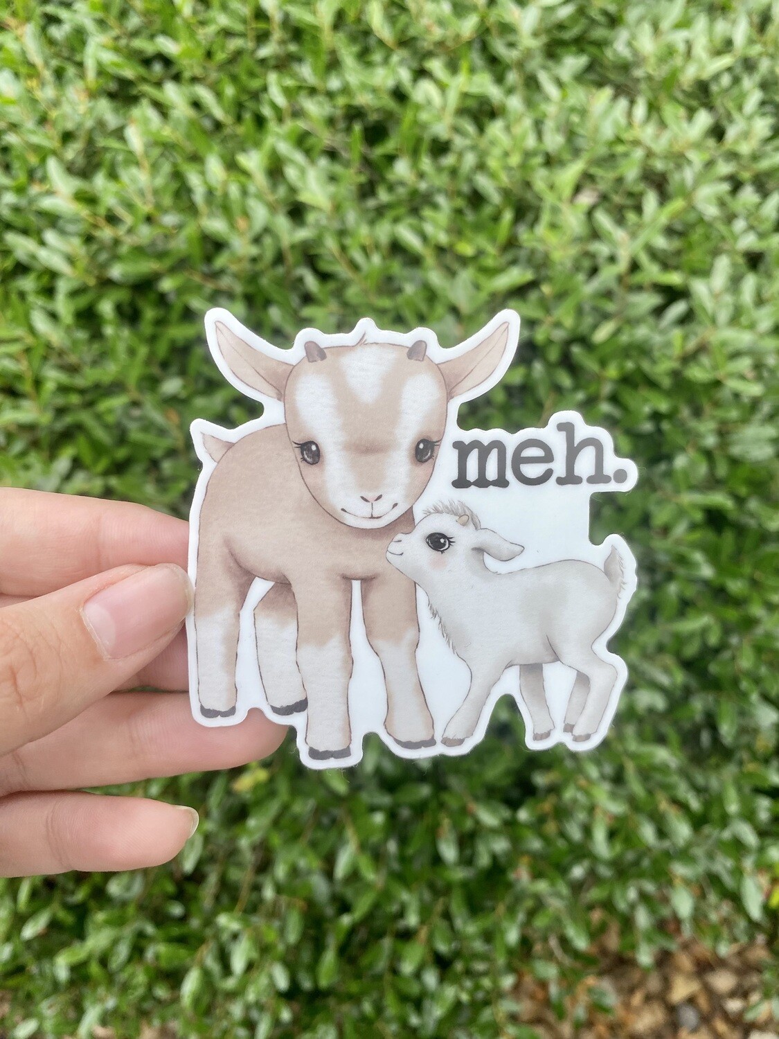 Goats...Meh Sticker