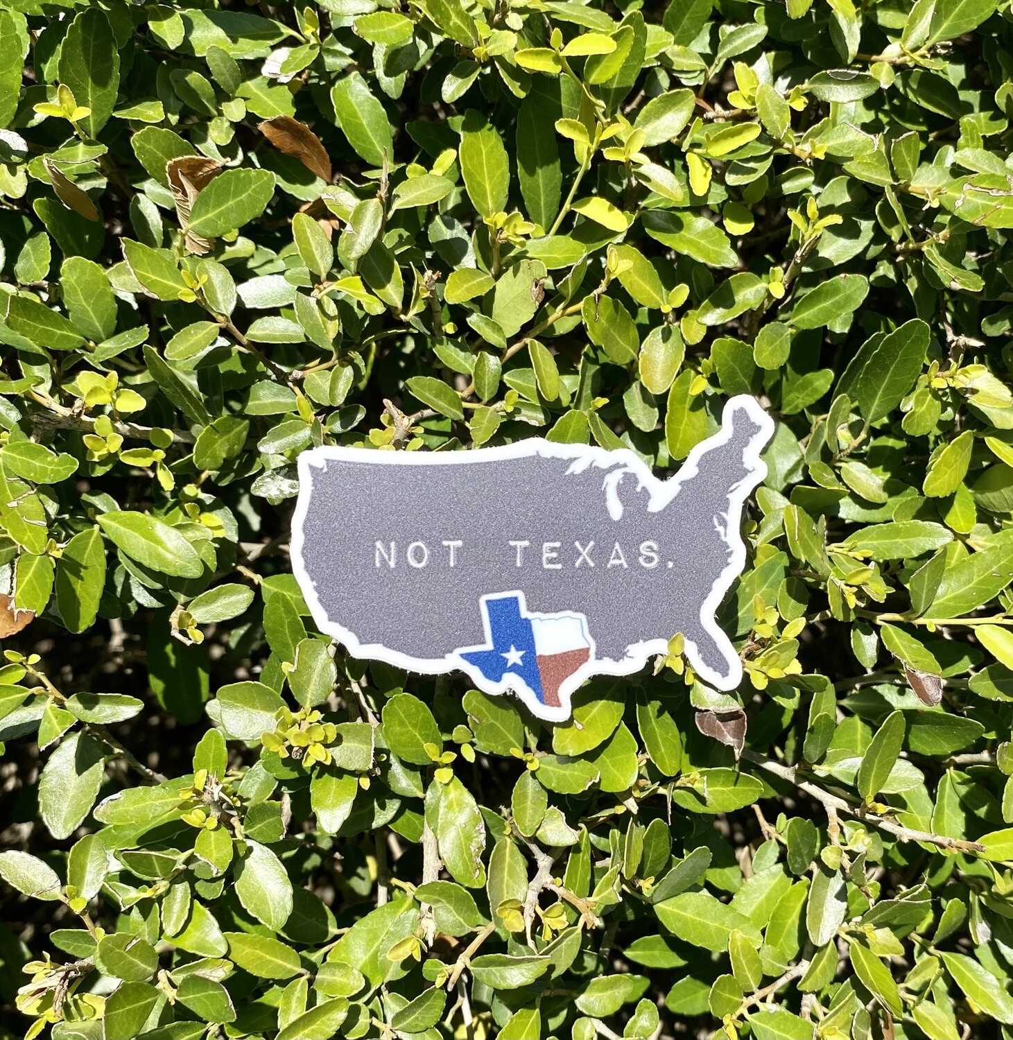 TX not Texas Sticker