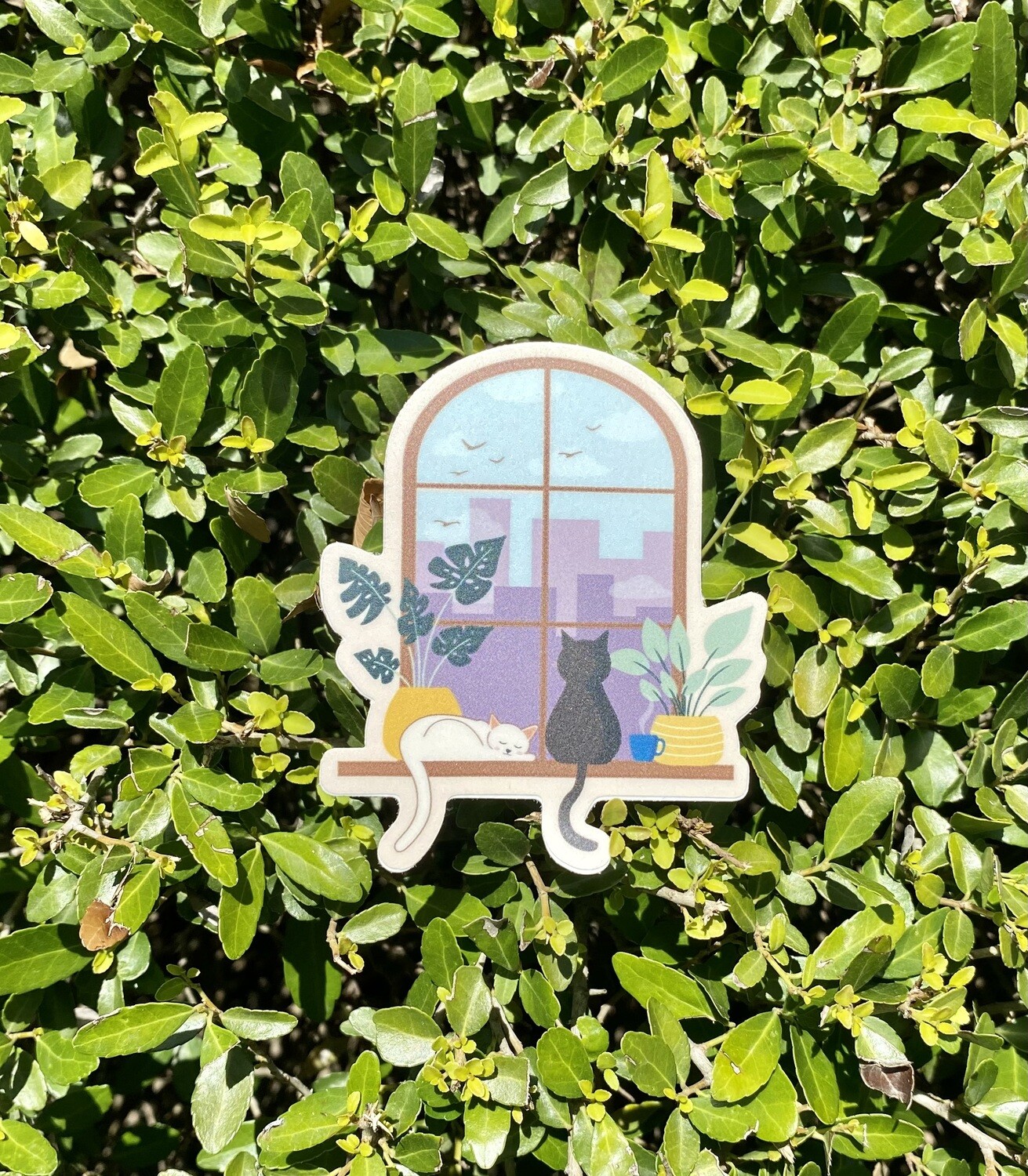 Window Cats Sticker