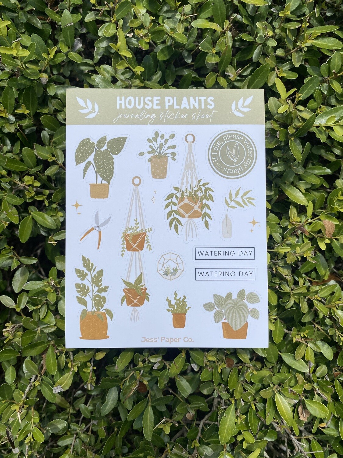Jess Paper Co House Plant Sticker Sheet