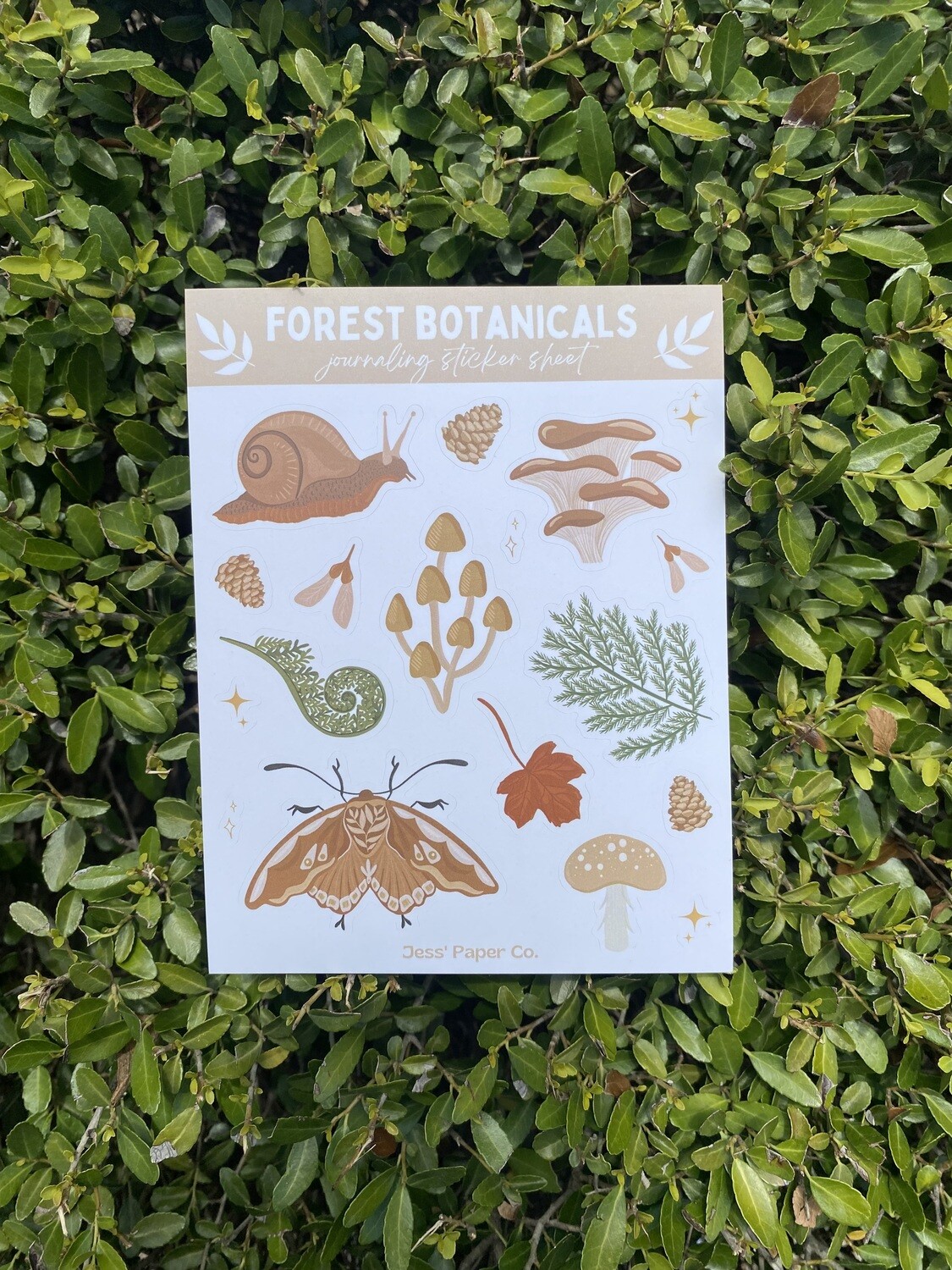 Jess Paper Co Forest Sticker Sheet 