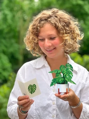 Freshcut Paper Mini Monstera