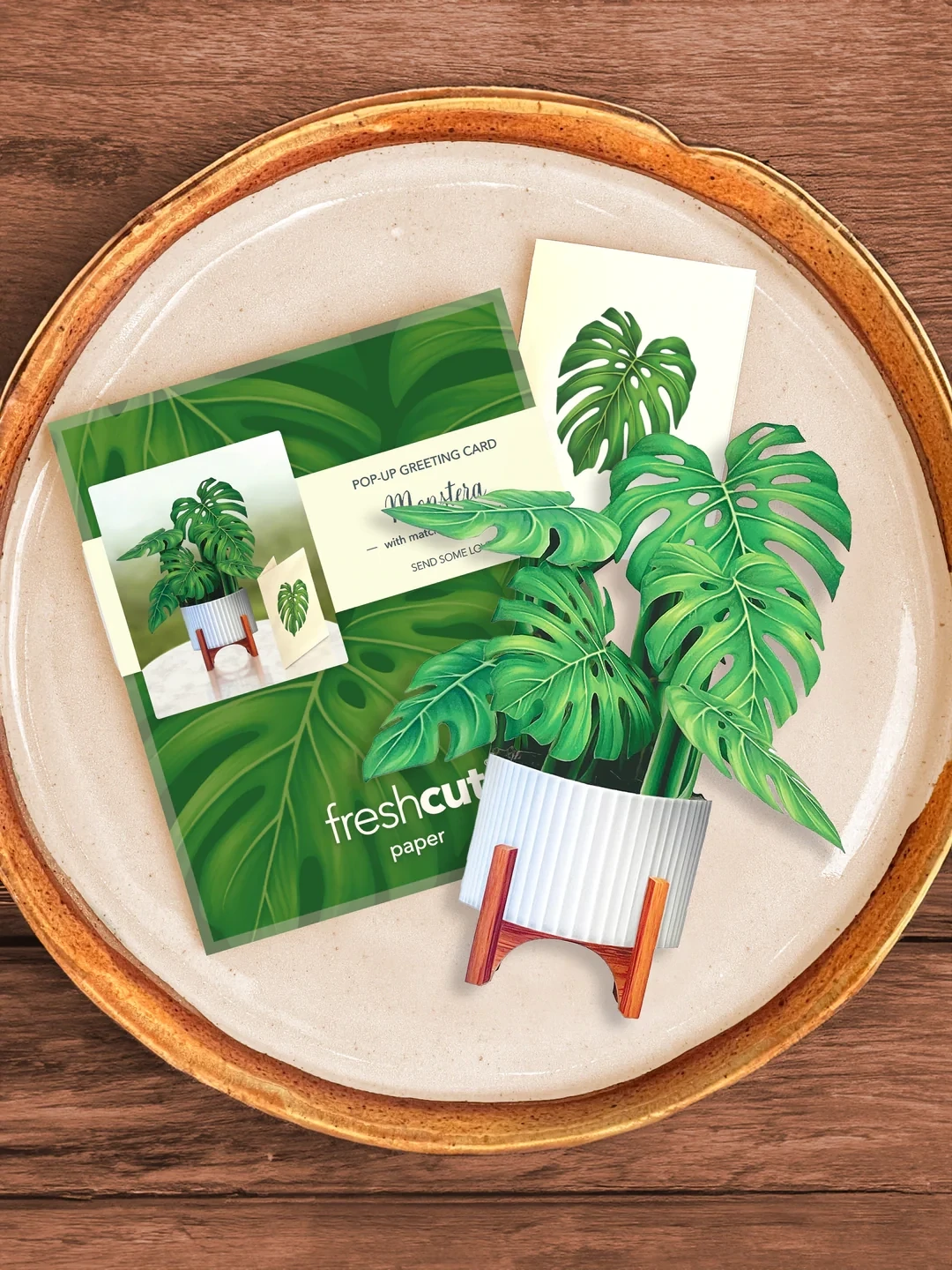Freshcut Paper Mini Monstera