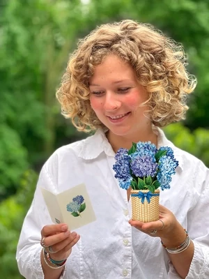FreshcutPaper Nantucket Hydrangea