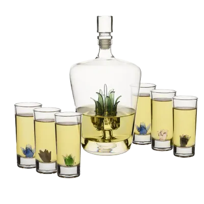 Agave Tequila Decanter &amp; Glass Set