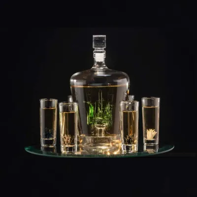 Agave Tequila Decanter &amp; Glass Set