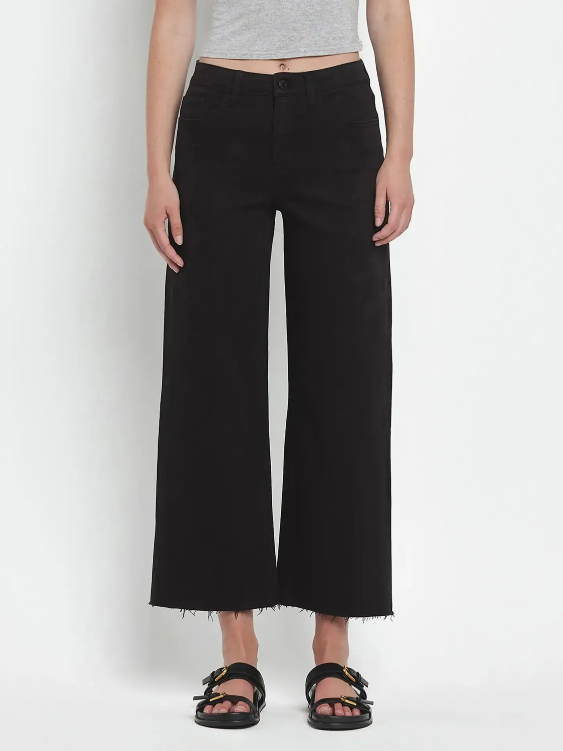 Vervet Black High Rise Crop Wide Leg
