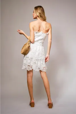 blue b. Strapless Lace Mini Dress