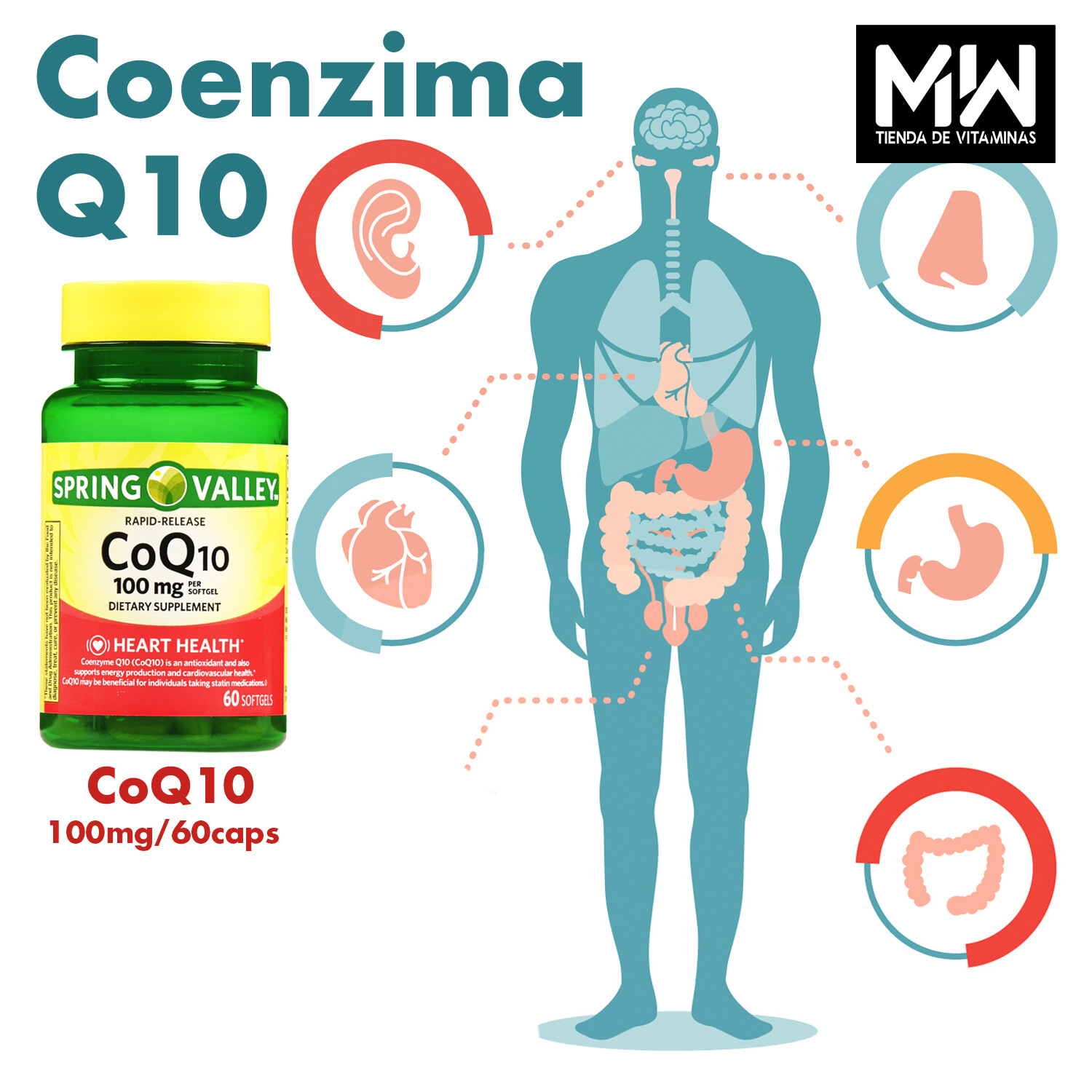 CoQ10 100 mg. 60Caps. Rapid release