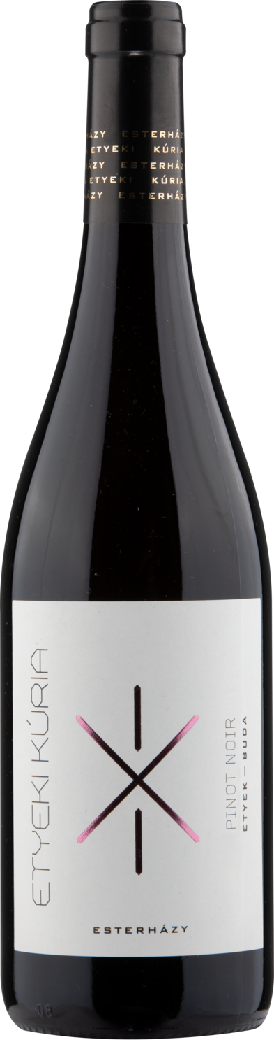 Pinot Noir Etyek Kuria DECANTER 93points Caroline Gilby MW 'Proper Pinot Noir' Pinot Noir Etyek Kuria DECANTER 93points Caroline Gilby MW 'Proper Pinot Noir'
