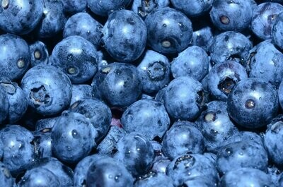 Blueberries by the Pint