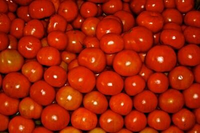 Red Tomatoes 5lb bag