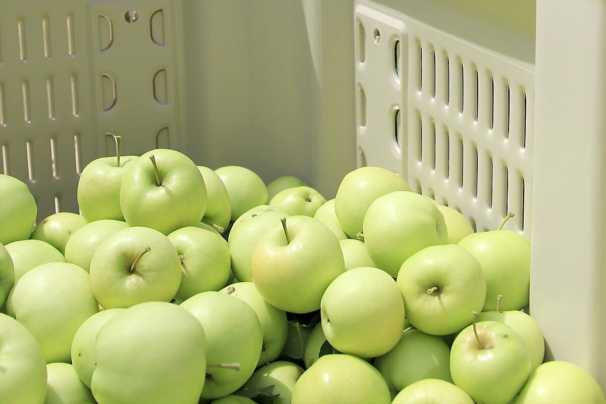 Ginger Gold Apples