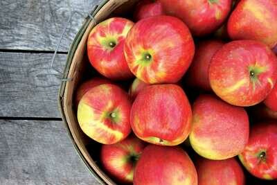 Honeycrisp Apples