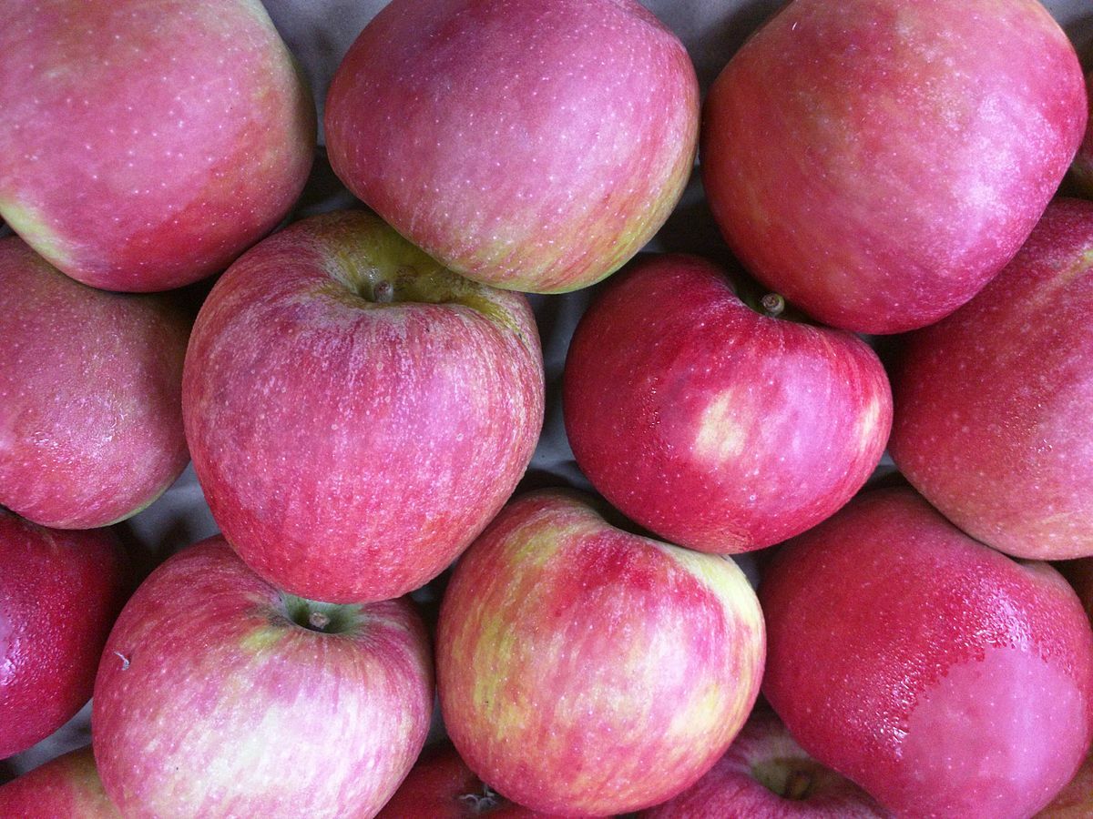 Stayman Winesap Apples