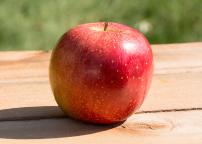 Nittany Apples