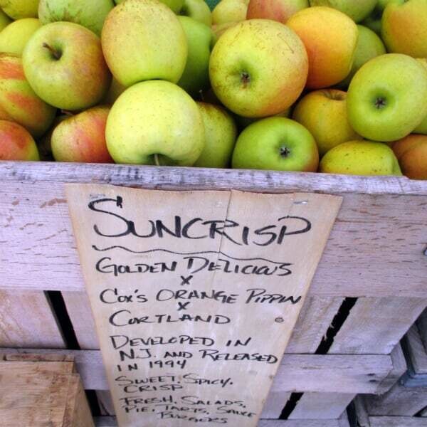 SunCrisp Apples