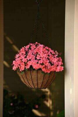 Shade Hanging Baskets and Bags