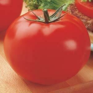 Tomato Big Beef