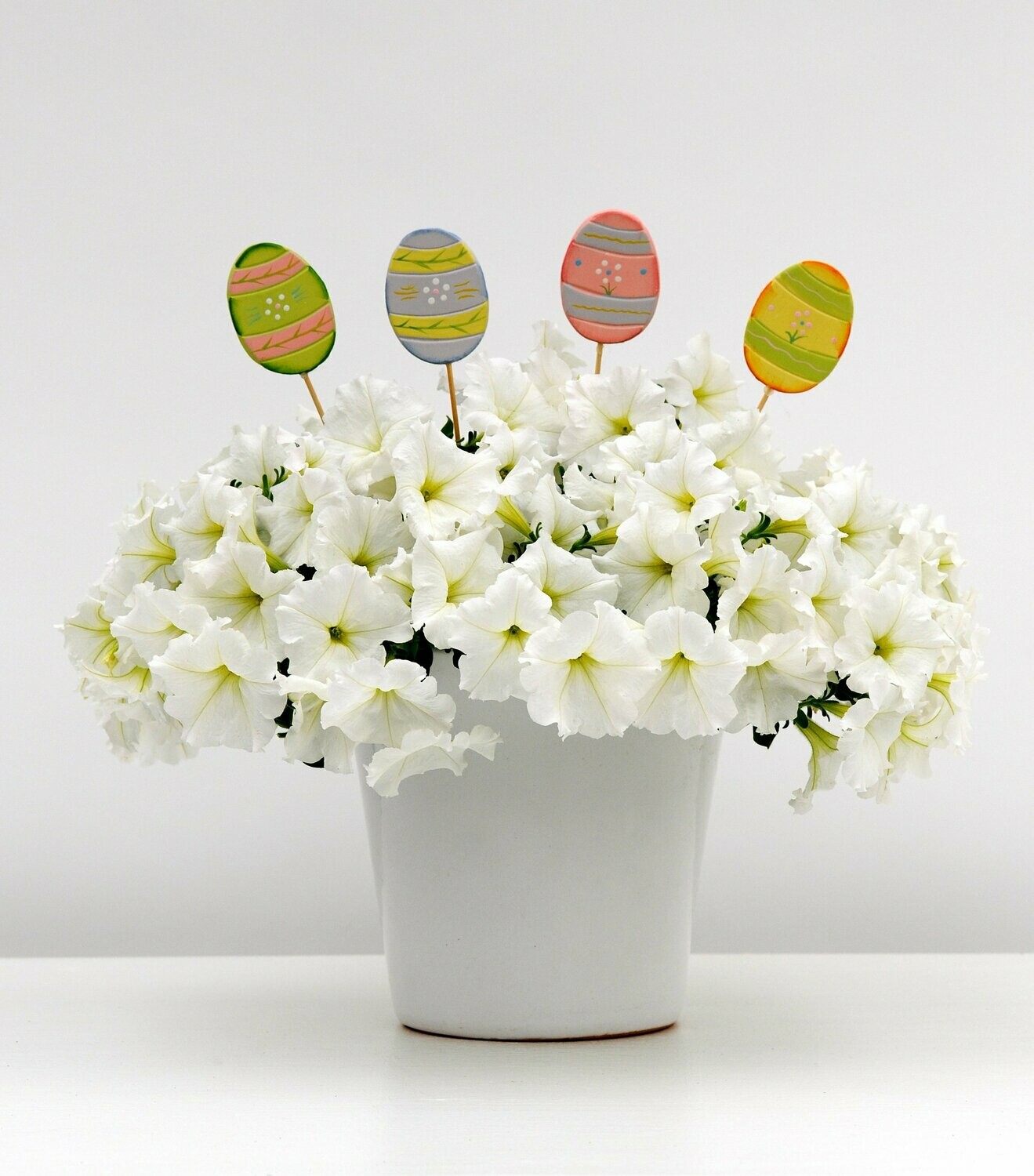 Petunia Wave White Pot