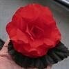 NonStop Mix Tuberous Begonia