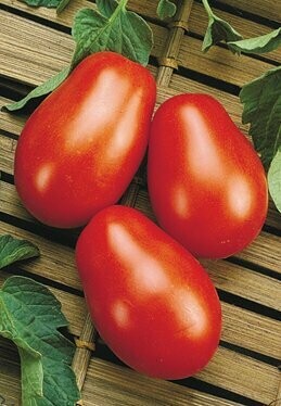 Tomato La Roma