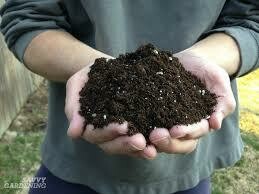 Country Sun Farm Blend