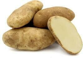 Potatoes New White - 10lb LOCAL
