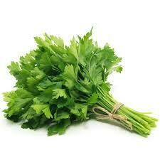 Italian Parsley- 1 Bunch LOCAL