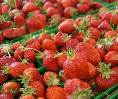 Local Strawberries - 1 Flat (6 Quart)