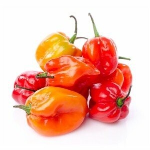 Habanero Peppers - 1lb LOCAL