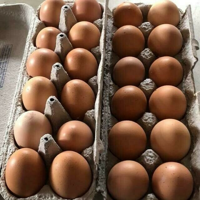 Large Free Run Brown Eggs 1 Dozen - LOCAL Free Range