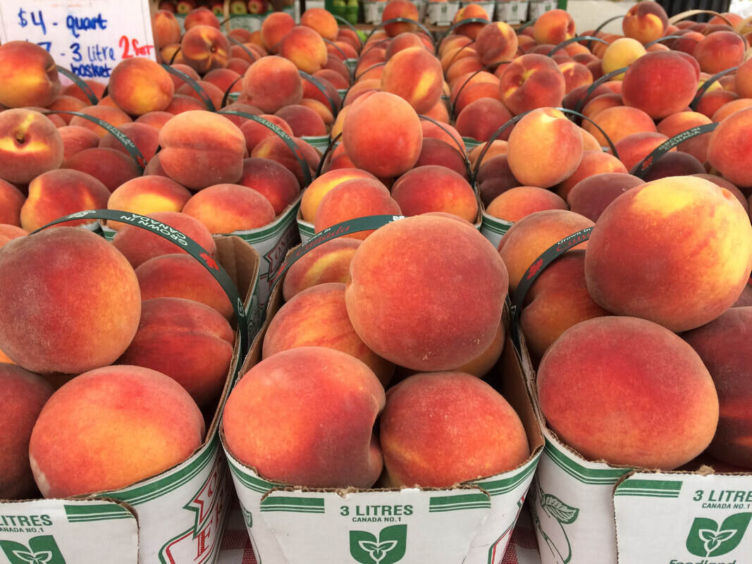 Peaches 2lb LOCAL ALMOST OUT!
