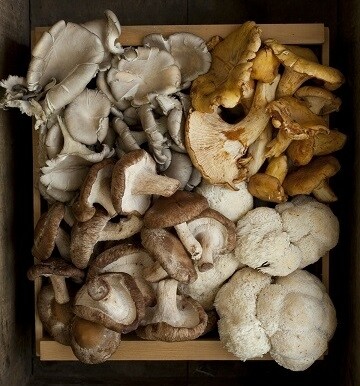 Mushrooms Gourmet Mix - LOCAL Approx 225g