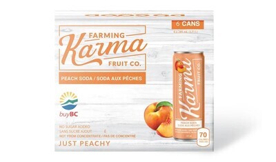 Peach Soda (6pack) - Karma Farming
