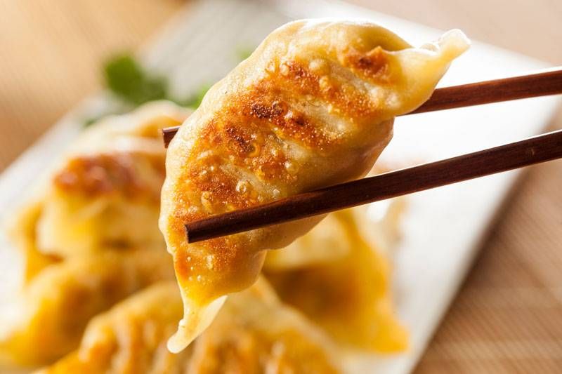 Gyoza Dumplings