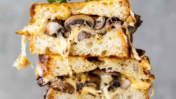 Spicy Chicken &amp; Mushroom Melt