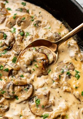 Mushroom Sauce Housemade