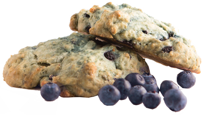 Blueberry Scone