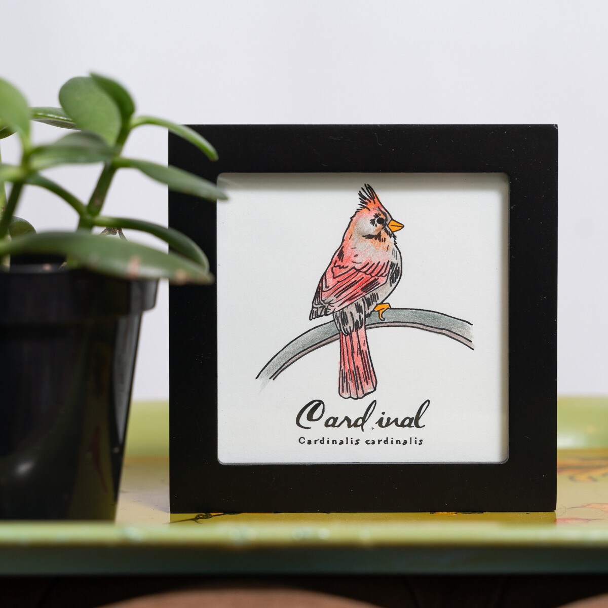 Cardinal Scientific Print