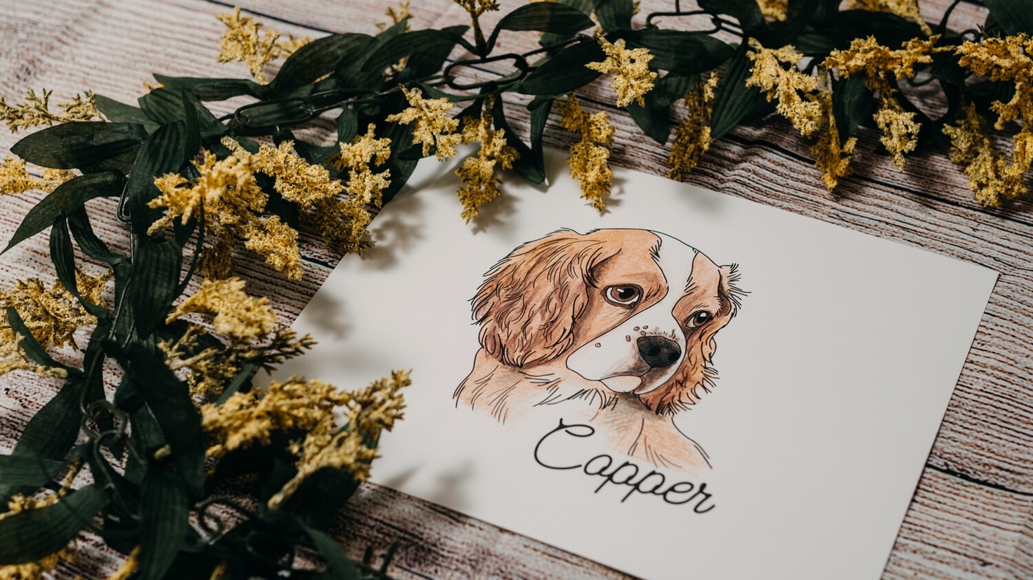 Custom Pet Illustration